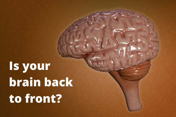 Is your brain back to front (Image heading)